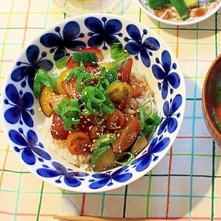 サーモンの漬け丼